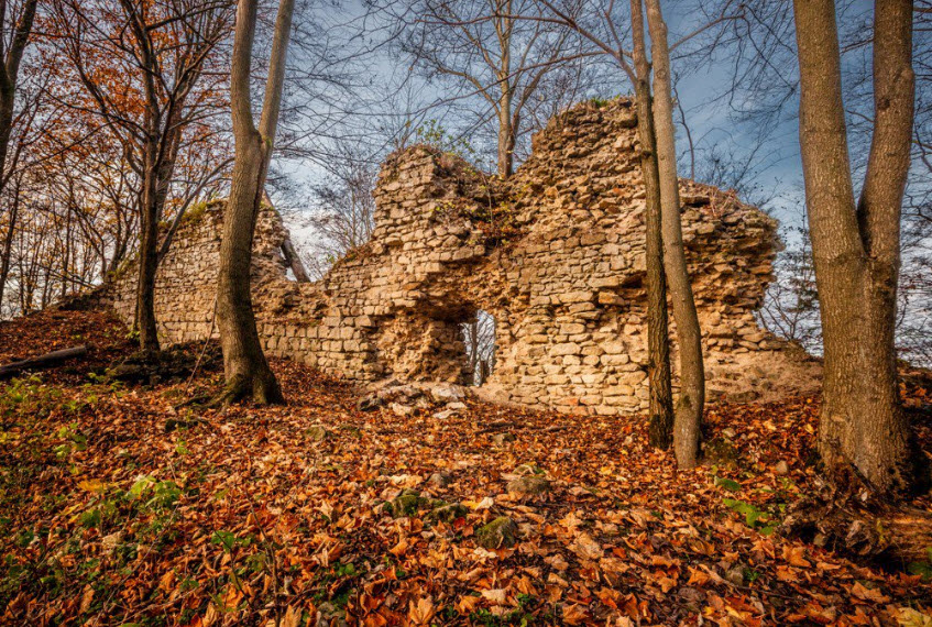 Zřícenina Hradu Obřany, Czech Republic (Czechia)